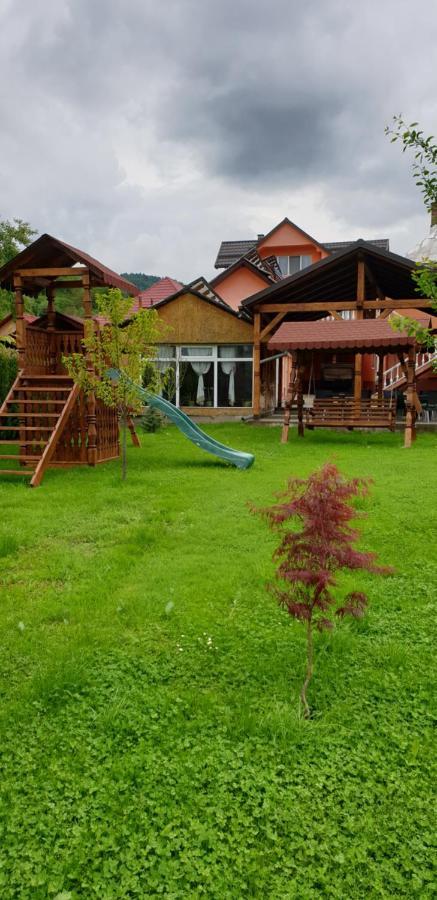 Camere De Inchiriat Roman Vişeu de Sus Exterior foto